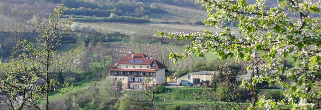 Pension Rudi - Weingut Kellner Hotell Pulkau Exteriör bild