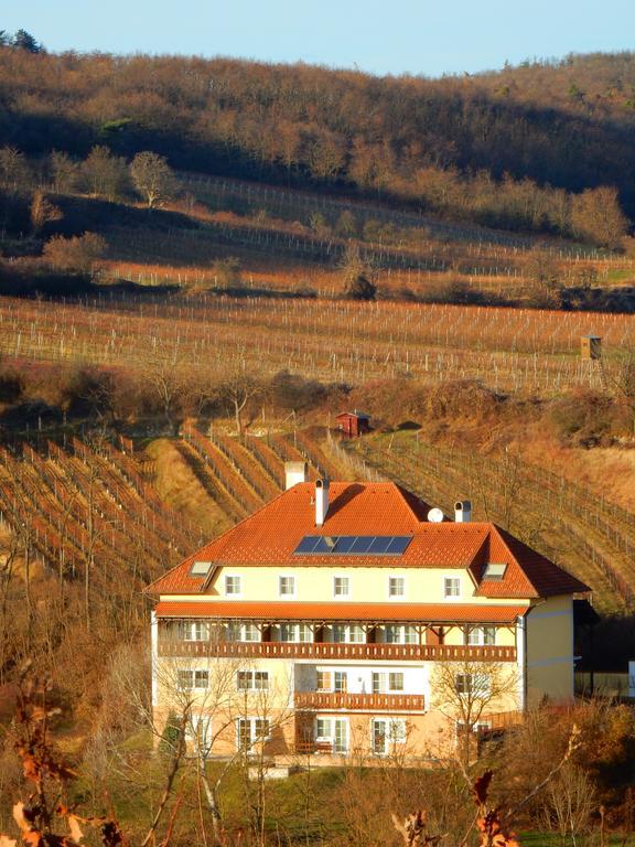 Pension Rudi - Weingut Kellner Hotell Pulkau Exteriör bild